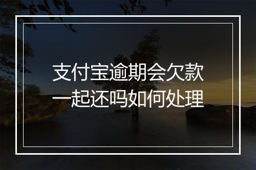支付宝逾期会欠款一起还吗如何处理