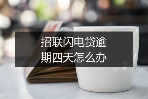 招联闪电贷逾期四天怎么办