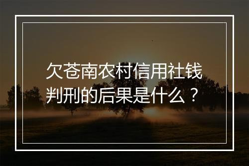 欠苍南农村信用社钱判刑的后果是什么？