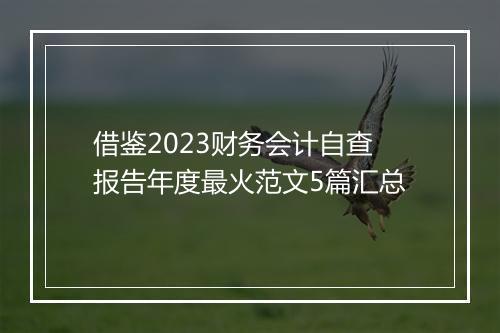 借鉴2023财务会计自查报告年度最火范文5篇汇总