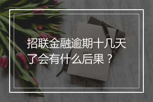 招联金融逾期十几天了会有什么后果？