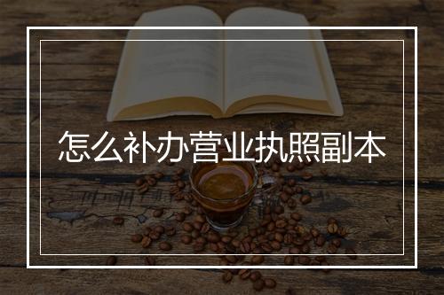 怎么补办营业执照副本