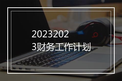 20232023财务工作计划