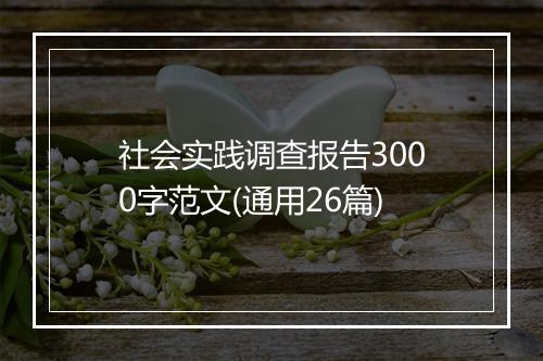 社会实践调查报告3000字范文(通用26篇)