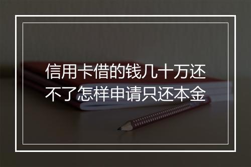 信用卡借的钱几十万还不了怎样申请只还本金
