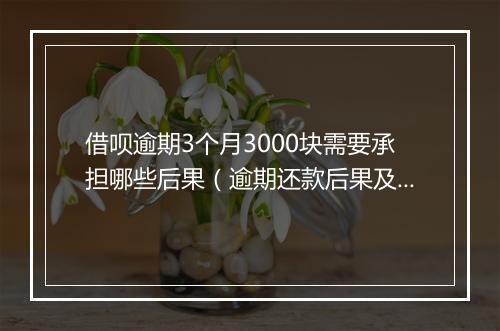 借呗逾期3个月3000块需要承担哪些后果（逾期还款后果及处罚措施）