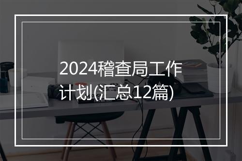 2024稽查局工作计划(汇总12篇)
