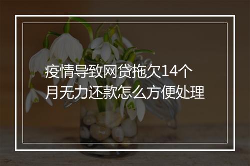 疫情导致网贷拖欠14个月无力还款怎么方便处理