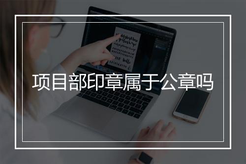 项目部印章属于公章吗