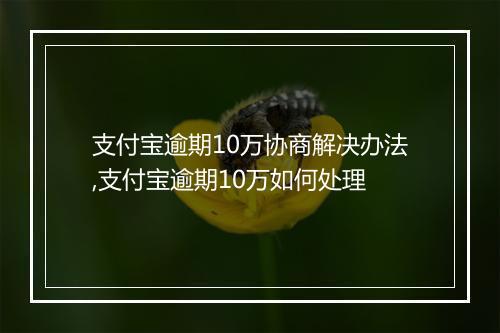 支付宝逾期10万协商解决办法,支付宝逾期10万如何处理