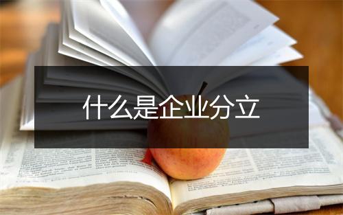 什么是企业分立