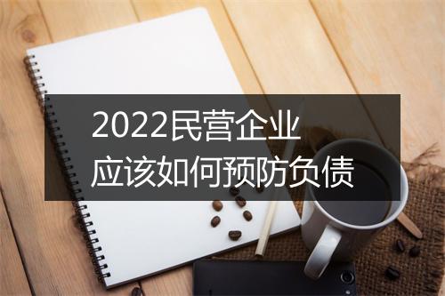 2022民营企业应该如何预防负债