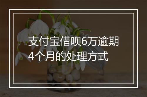 支付宝借呗6万逾期4个月的处理方式
