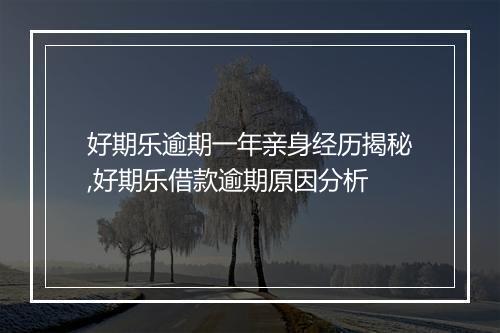 好期乐逾期一年亲身经历揭秘,好期乐借款逾期原因分析