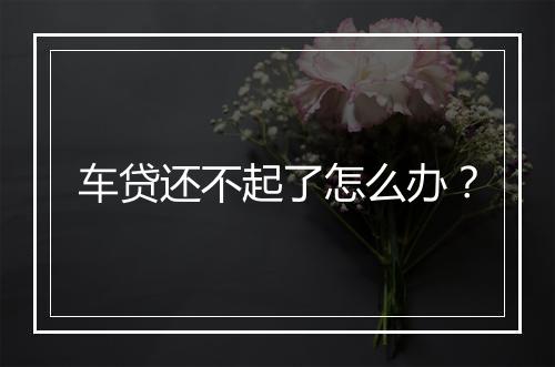 车贷还不起了怎么办？