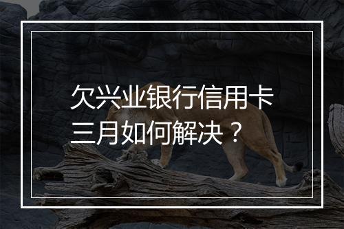 欠兴业银行信用卡三月如何解决？