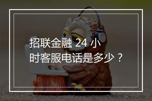 招联金融 24 小时客服电话是多少？
