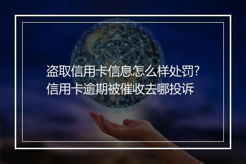 盗取信用卡信息怎么样处罚?信用卡逾期被催收去哪投诉