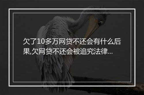 欠了10多万网贷不还会有什么后果,欠网贷不还会被追究法律责任吗