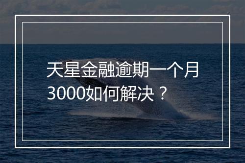 天星金融逾期一个月3000如何解决？