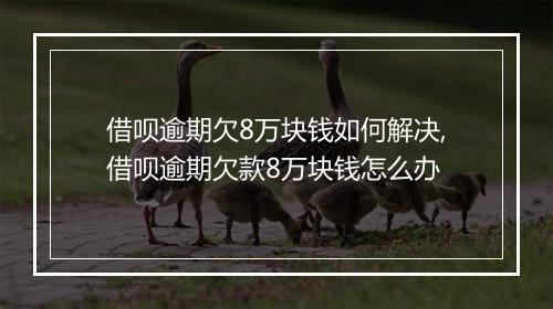 借呗逾期欠8万块钱如何解决,借呗逾期欠款8万块钱怎么办
