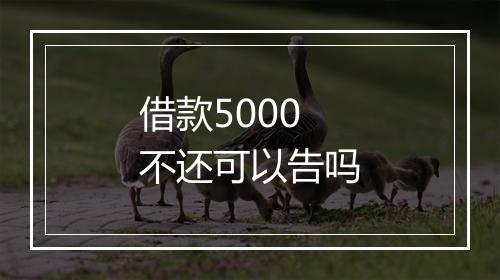 借款5000不还可以告吗