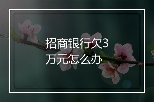 招商银行欠3万元怎么办
