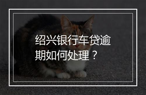 绍兴银行车贷逾期如何处理？
