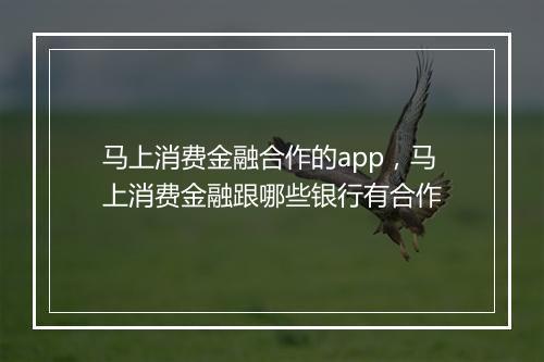 马上消费金融合作的app，马上消费金融跟哪些银行有合作