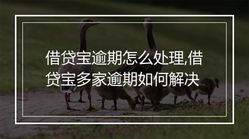 借贷宝逾期怎么处理,借贷宝多家逾期如何解决