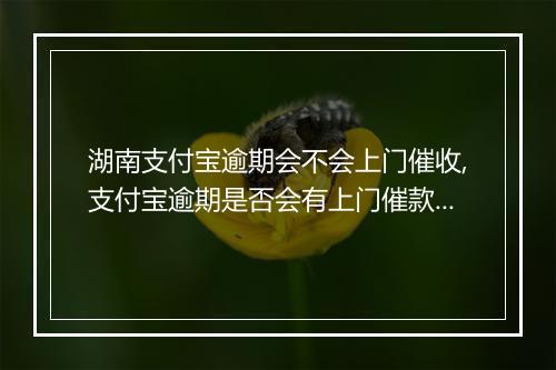 湖南支付宝逾期会不会上门催收,支付宝逾期是否会有上门催款的情况