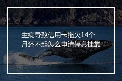 生病导致信用卡拖欠14个月还不起怎么申请停息挂靠