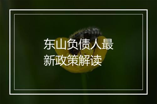 东山负债人最新政策解读