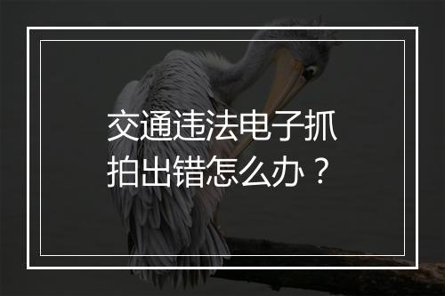 交通违法电子抓拍出错怎么办？