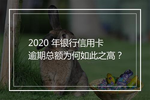 2020 年银行信用卡逾期总额为何如此之高？