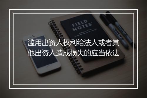 滥用出资人权利给法人或者其他出资人造成损失的应当依法