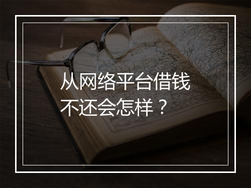 从网络平台借钱不还会怎样？
