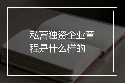 私营独资企业章程是什么样的