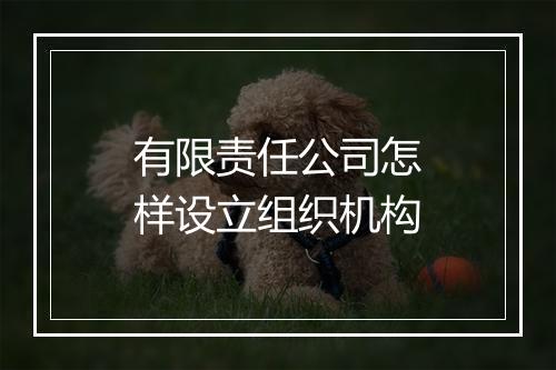 有限责任公司怎样设立组织机构