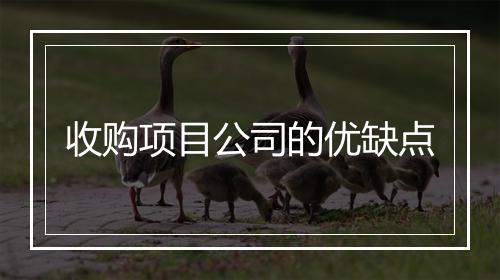 收购项目公司的优缺点