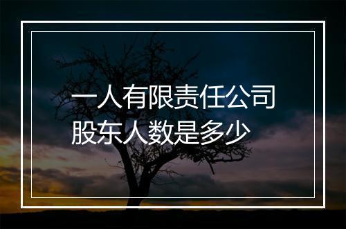 一人有限责任公司股东人数是多少