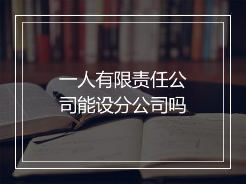 一人有限责任公司能设分公司吗