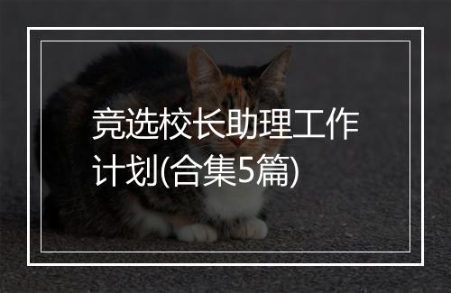 竞选校长助理工作计划(合集5篇)