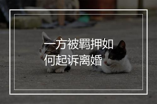 一方被羁押如何起诉离婚