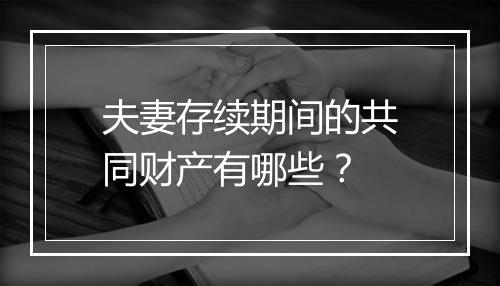 夫妻存续期间的共同财产有哪些？