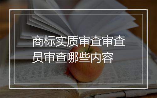 商标实质审查审查员审查哪些内容