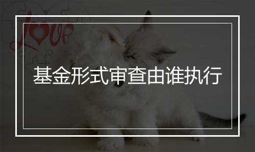 基金形式审查由谁执行