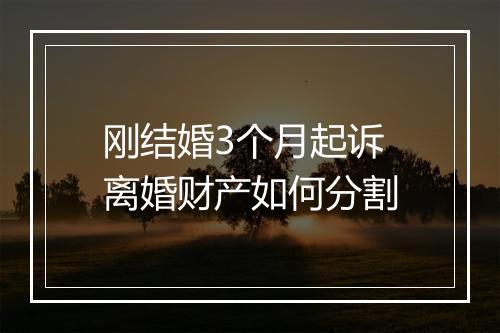 刚结婚3个月起诉离婚财产如何分割