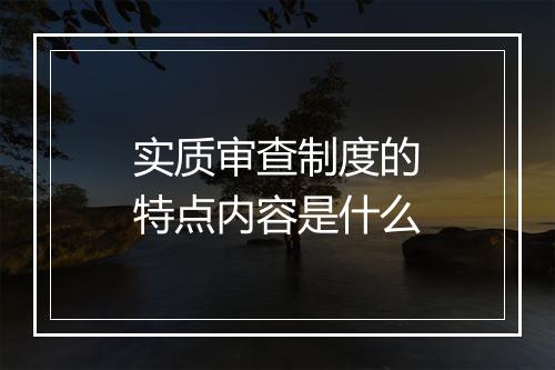 实质审查制度的特点内容是什么