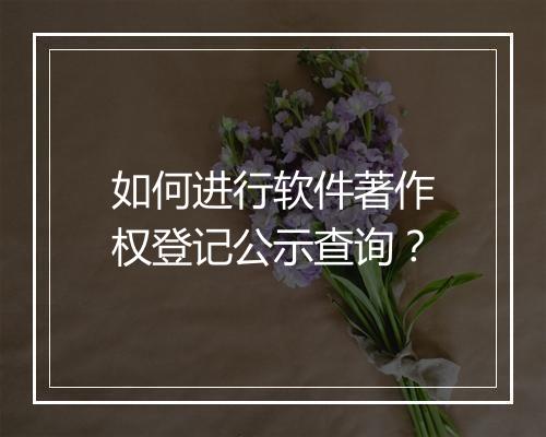 如何进行软件著作权登记公示查询？